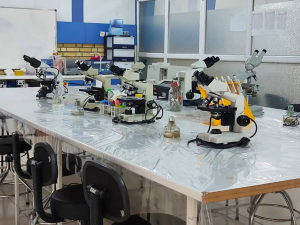 دوره میکروبیولوژی آزمایشگاه تشخیص طبی
