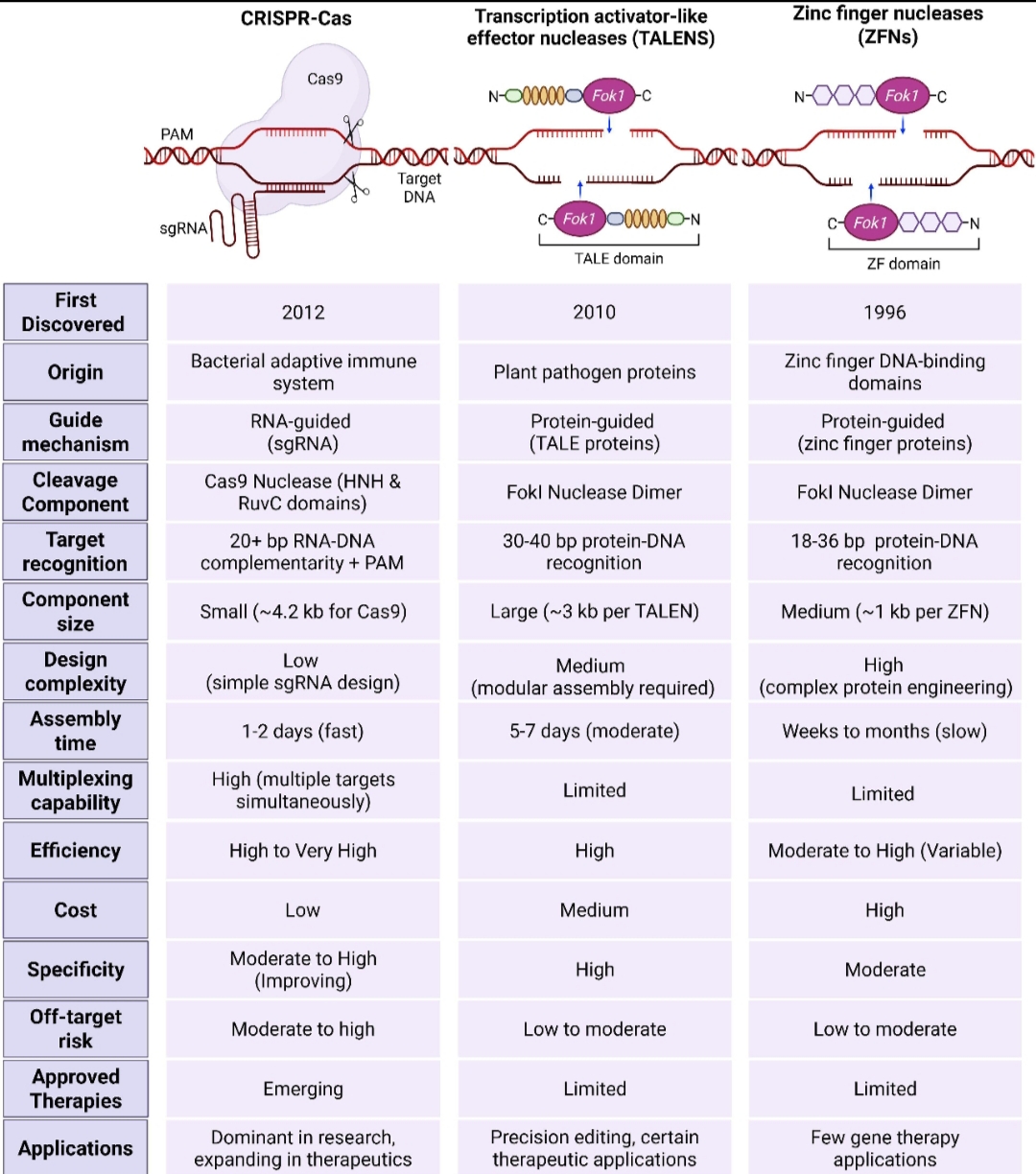 تفاوت Crisper cas9 با روش های قدیمی