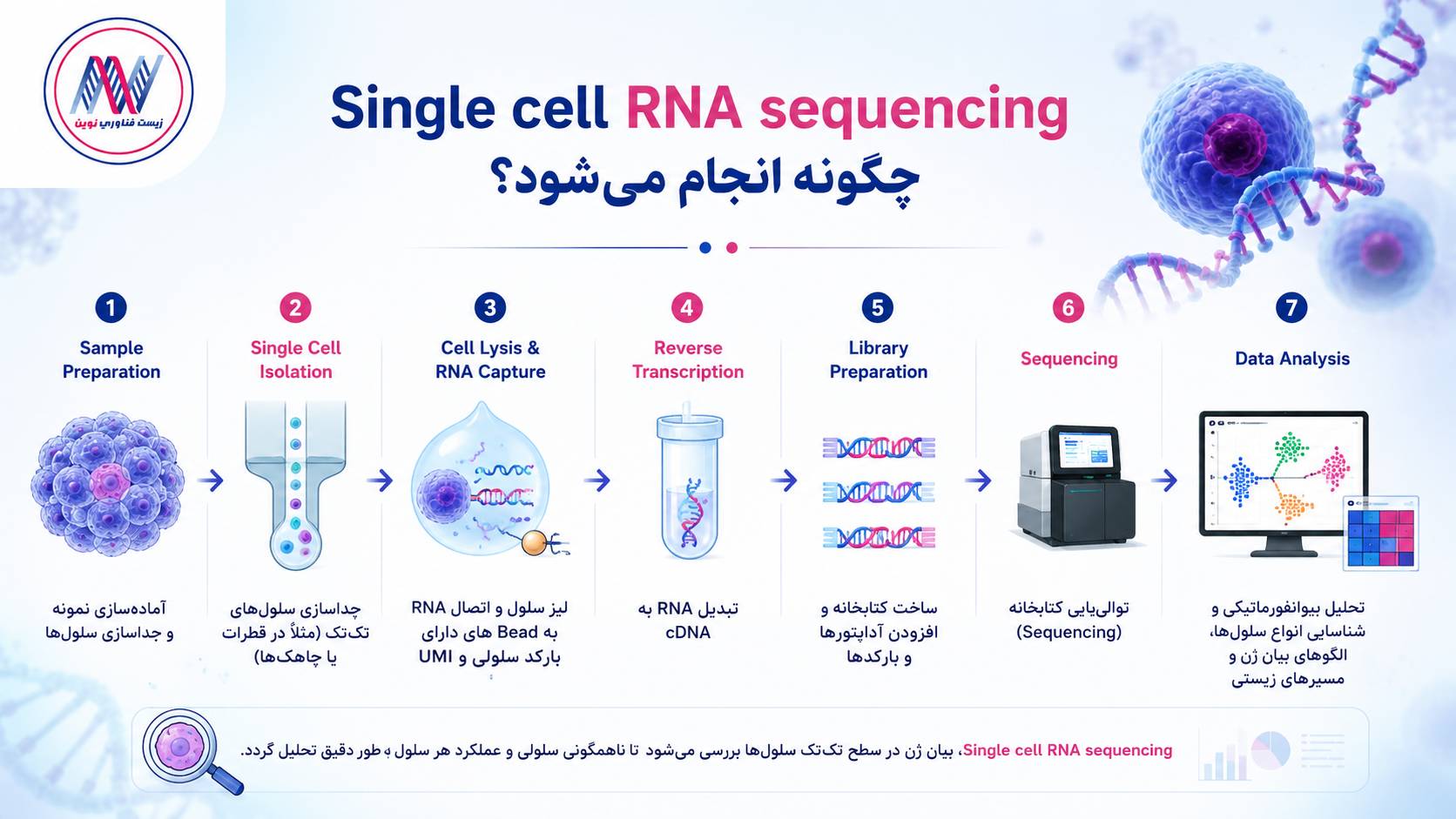 Single Cell RNA Sequencing