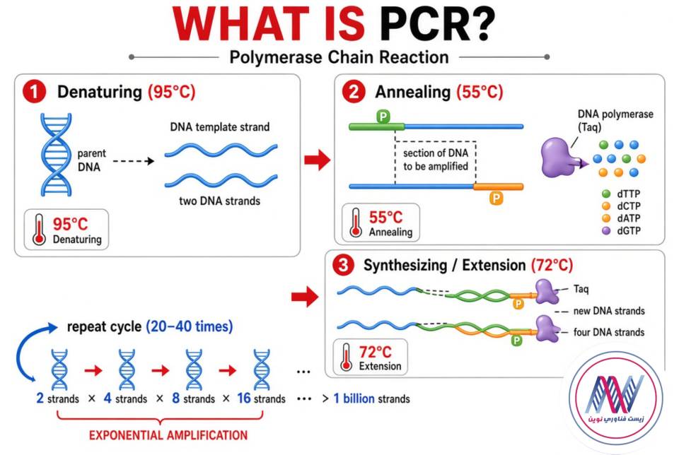 what is PCR؟