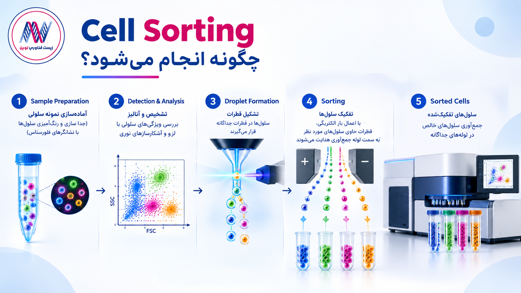 Cell Sorting چگونه انجام می‌شود؟
