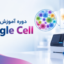 دوره آموزش Single Cell
