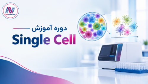 دوره آموزش Single Cell