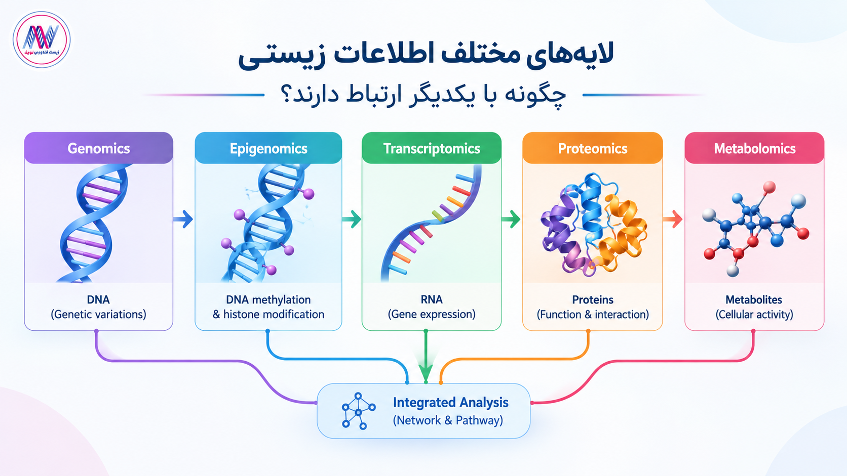 مولتی اومیکس