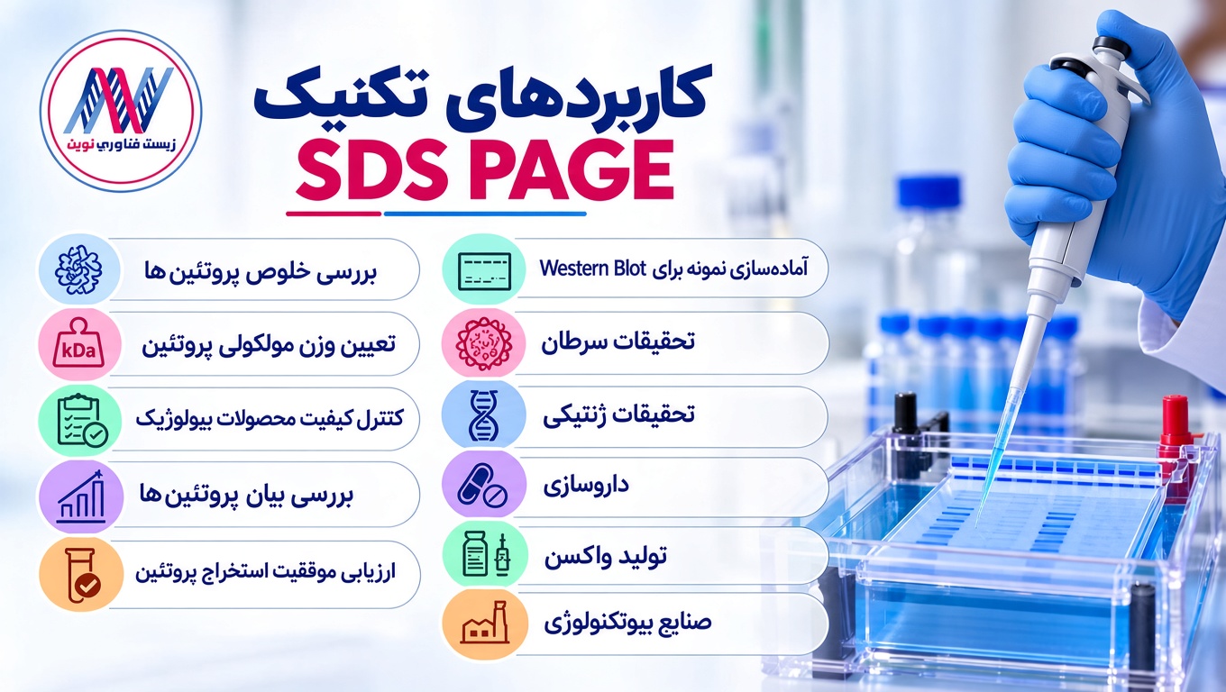 کاربردهای SDS PAGE