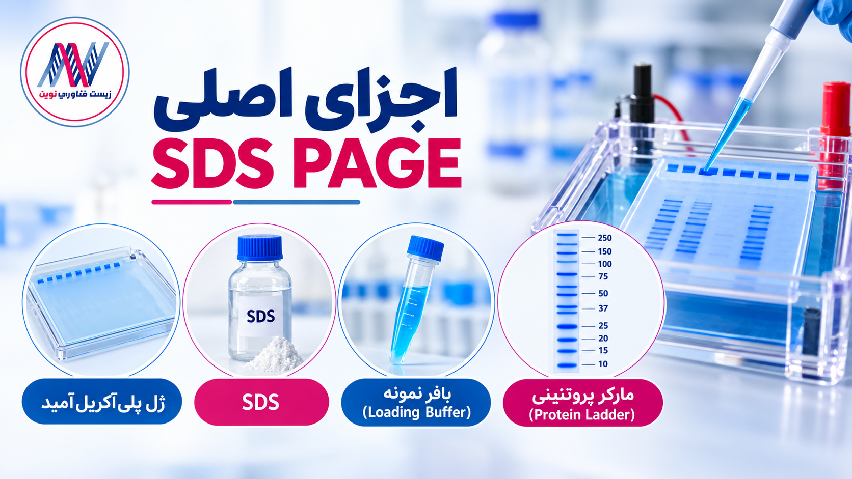 اجزای اصلی SDS PAGE