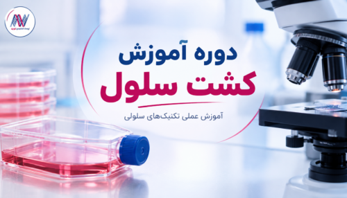 دوره کشت سلول