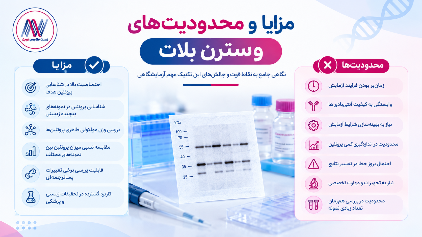 وسترن بلات