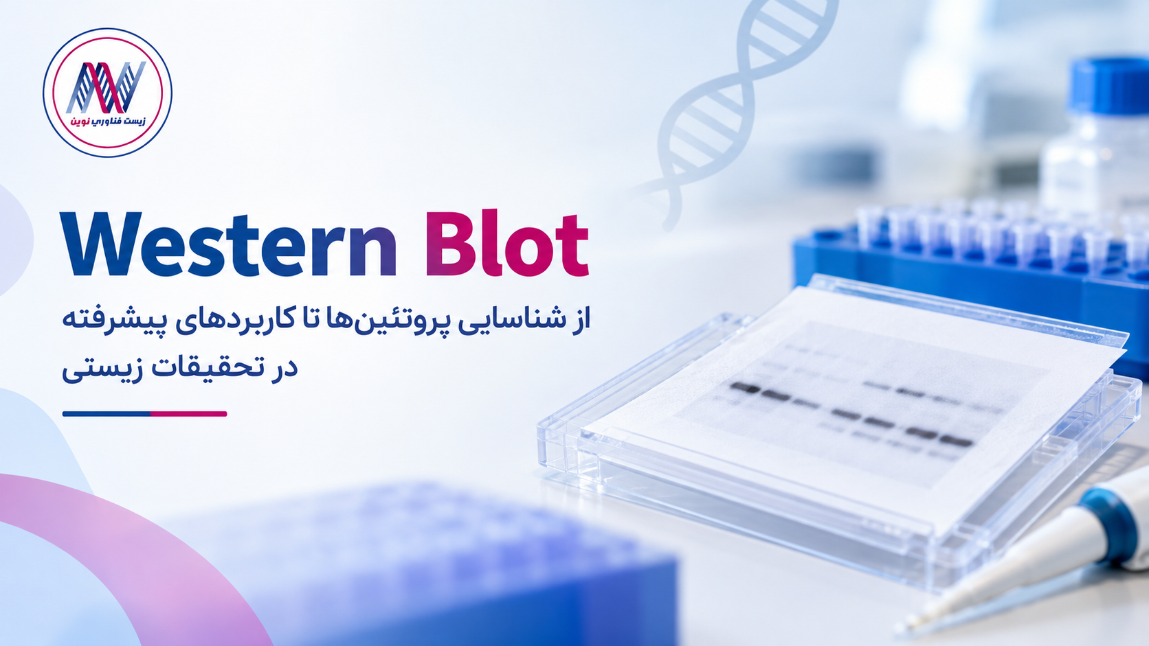 وسترن بلات